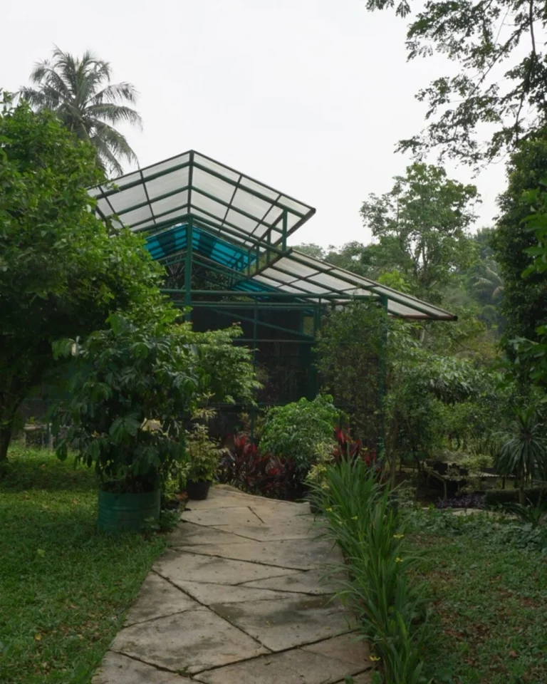 Green House SMA Dwiwarna Boarding School