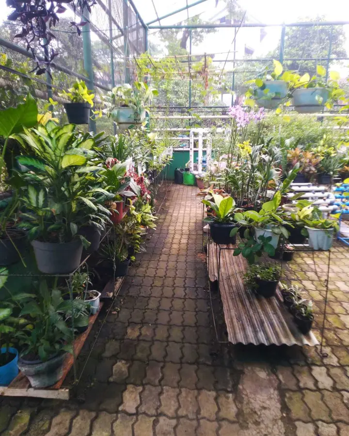 Green House SMA Dwiwarna